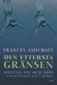 Den yttersta gränsen